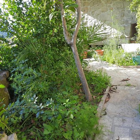 VILLA CATARINA · XuresVillas لوفيوس المظهر الخارجي الصورة